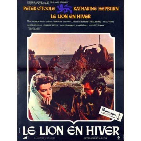 Lion en hiver (le) mod b 40x60