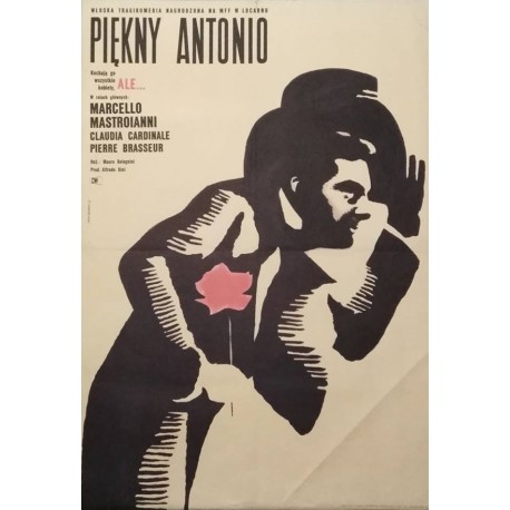 Piekny Antonio, le bel Antonio.59x85