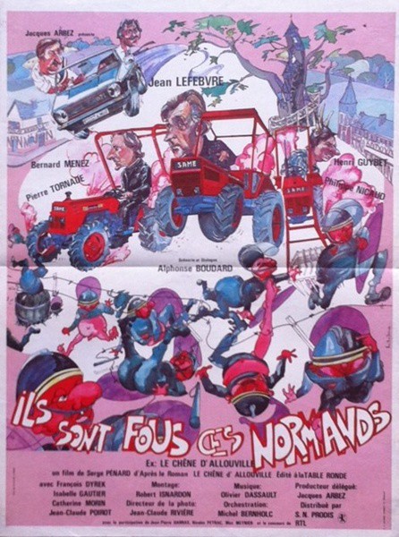 Ils sont fous ces normands 120x160