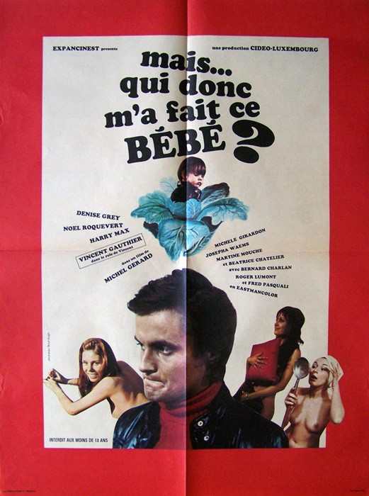 Mais qui donc ma fait ce bébé? 60x80