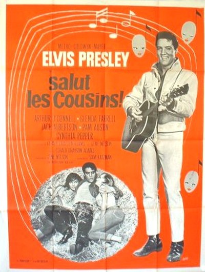 Salut les cousins 120x160