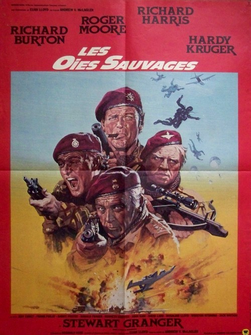 Oies sauvages (les) 60x80