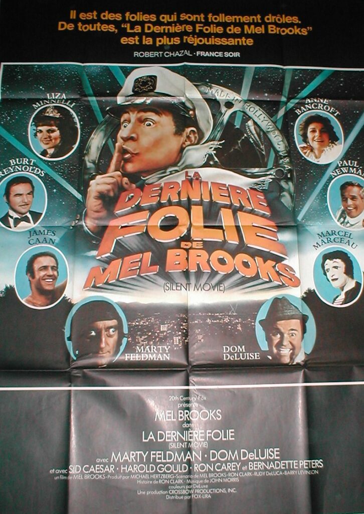 Derniere folie de mel brooks 60x80