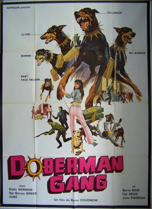 Doberman gang 120x160