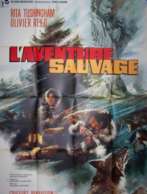 Aventure sauvage (l) 120x160