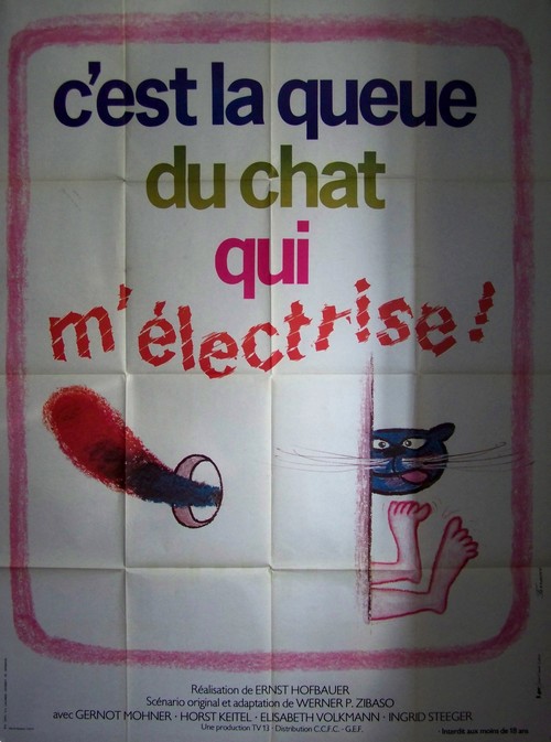 Cest la queue du chat qui melectrise 120x160