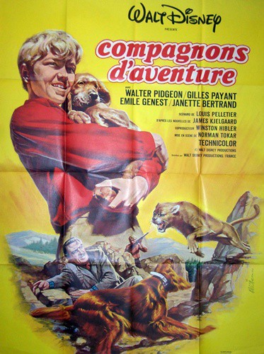 Compagnons d'aventures 120x160