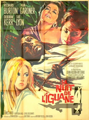 Nuit de liguane (la) 120x160