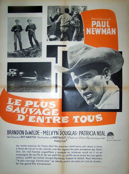 Plus sauvage dentre tous (le) 60x80