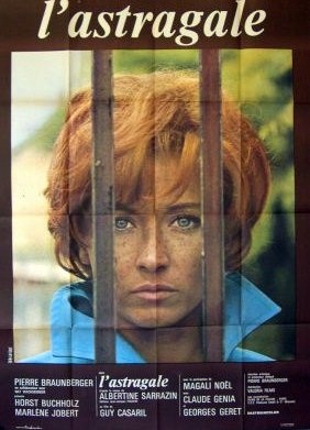 Astragale (l) 120x160