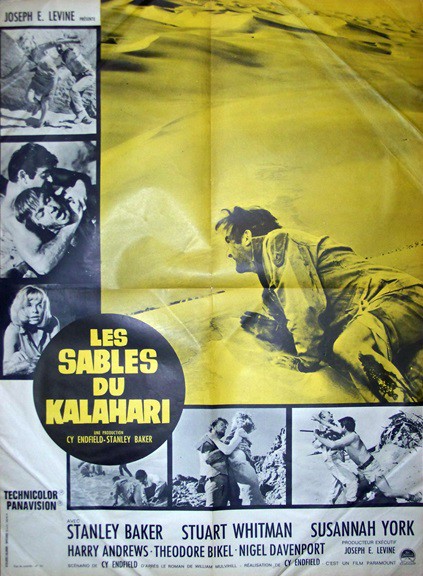 Sables du kalahari (les) 60x80