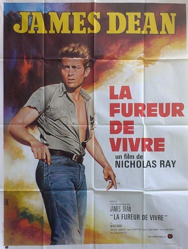 Fureur de vivre (la) 120x160