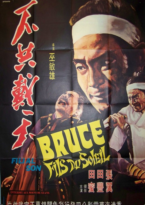 Bruce fils du soleil 120x160