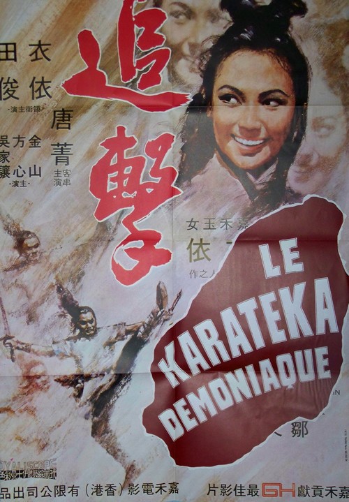 Karateka demoniaque (le) 77x115