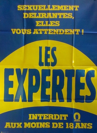 Expertes (les) 120x160