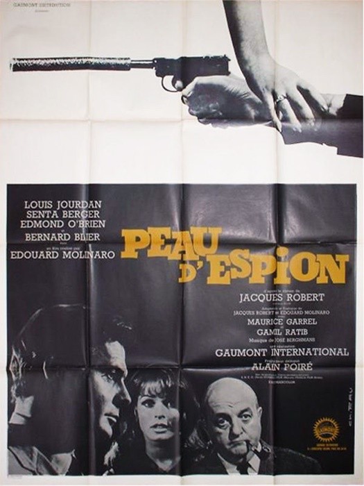 Peau d'espion.120x160