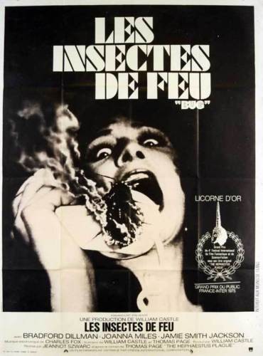 Insectes de feu (les) 120x160