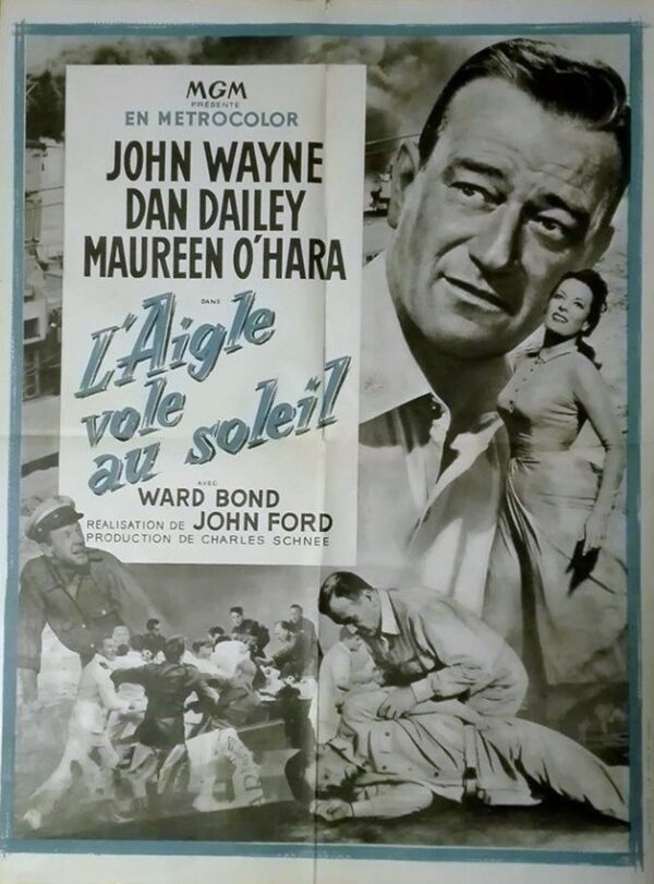 Aigle vole au soleil (L').60x80