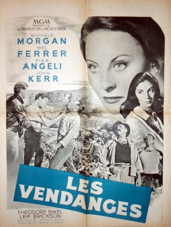 Vendanges (Les).60x80