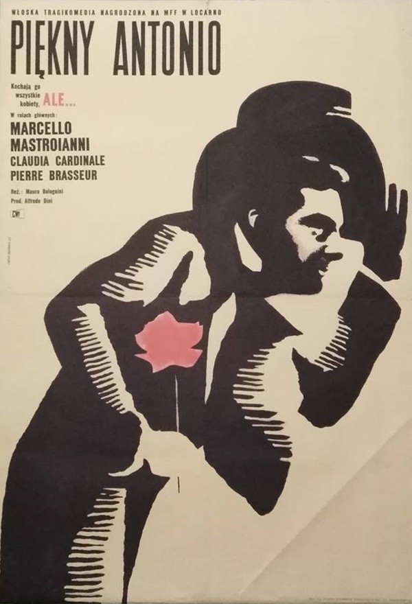 Piekny Antonio, le bel Antonio.59x85