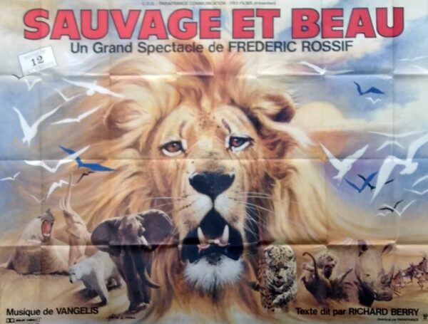 Sauvage et beau.240x160