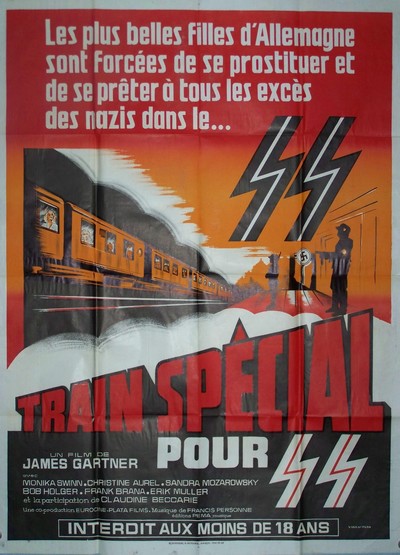 Train special pour ss 120x160