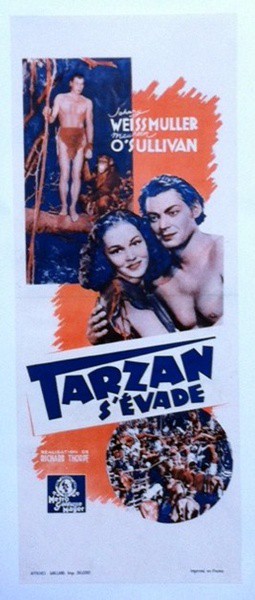 Tarzan sévade 24x61