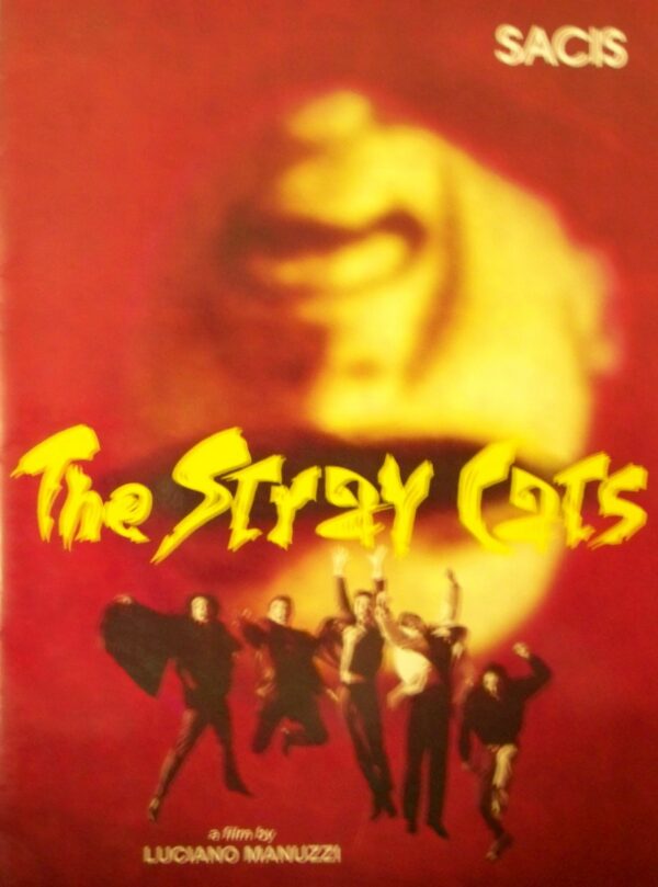 Stray cats