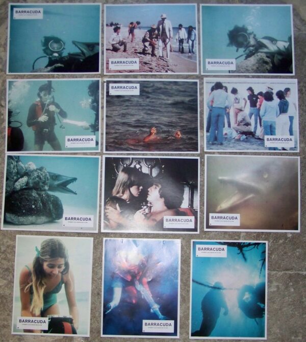 Barracuda jeu photos