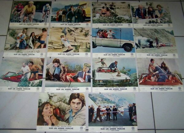 Sur un arbre perché jeu photos