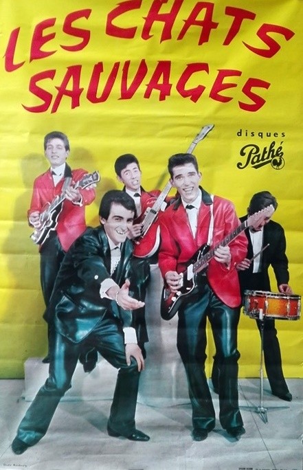 Chats sauvages (Les).78x120